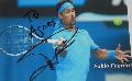 2014.11.18. Tennis Classics - Fabio Fognini - Forrs: Kardos gi